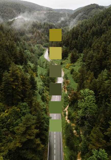Steps to Make Your Driving More Eco-Responsible
