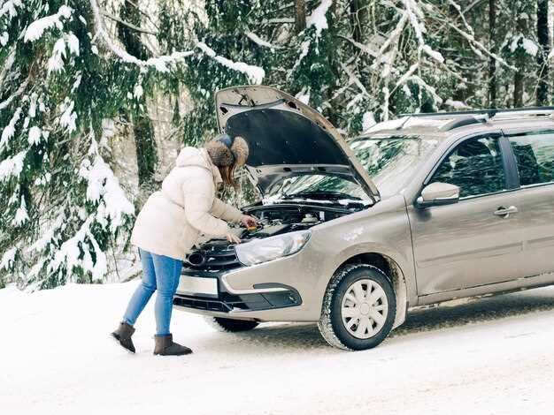 Winter Care: Preventing Battery Freeze and Failure