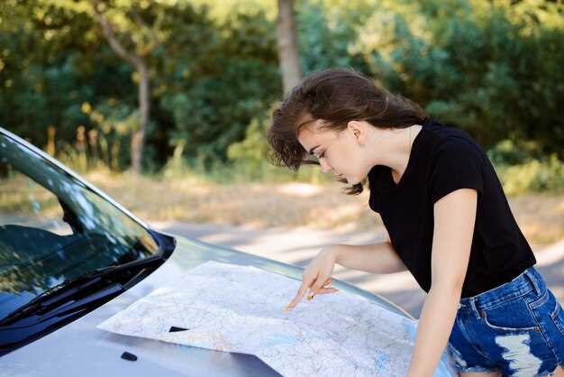 Vehicle Fluid Levels and Conditions